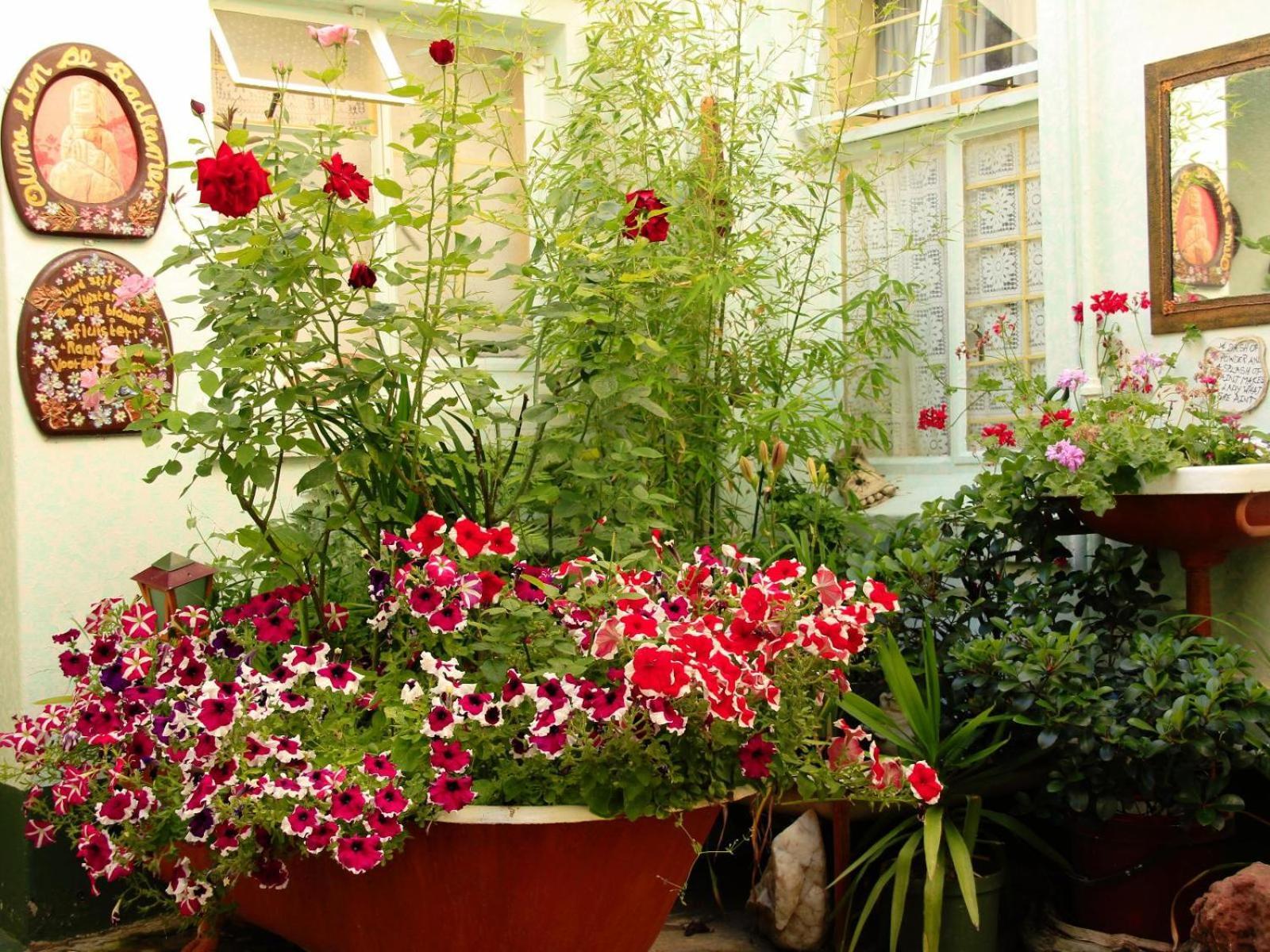 Mountain View Country Inn Lady Grey Екстер'єр фото