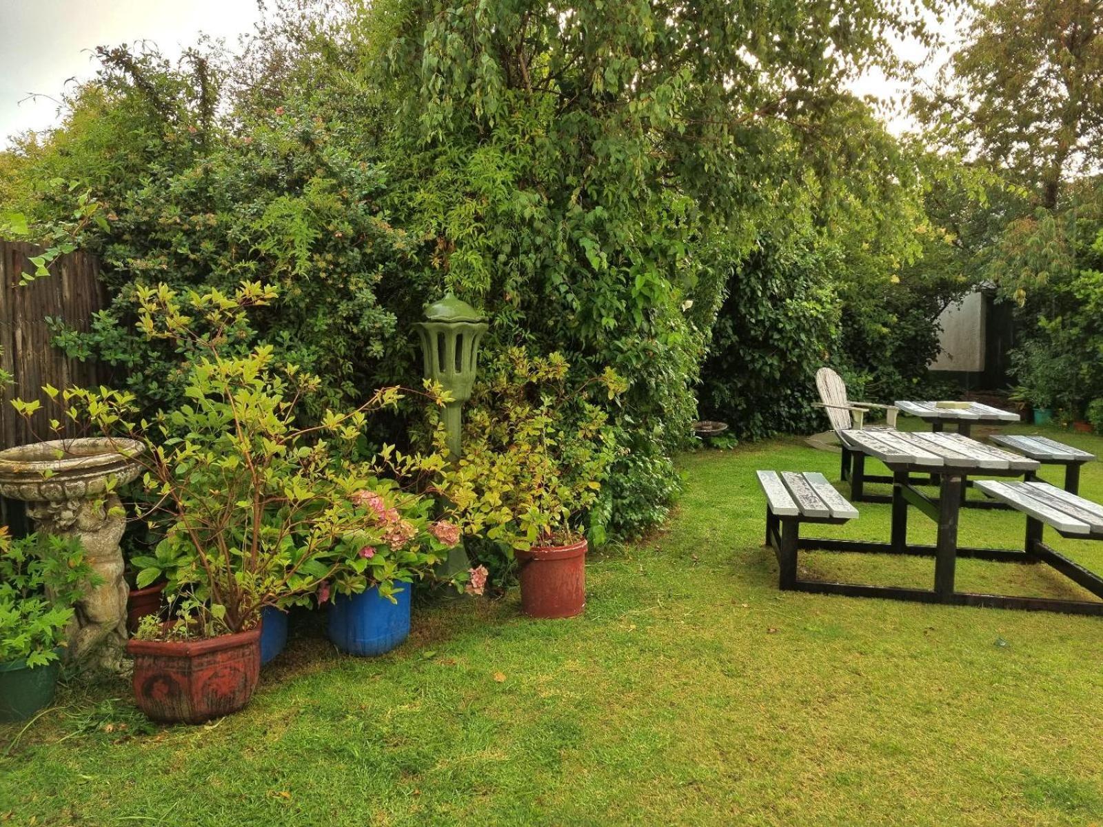 Mountain View Country Inn Lady Grey Екстер'єр фото